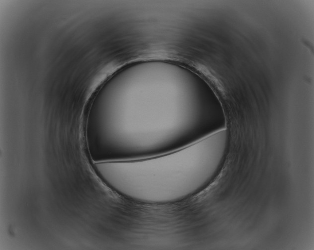 X0000097651469200802290834