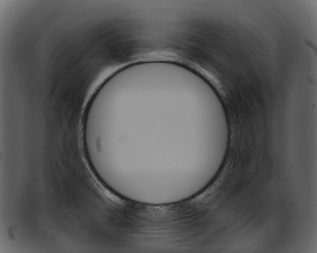 X0000097651470200802290834