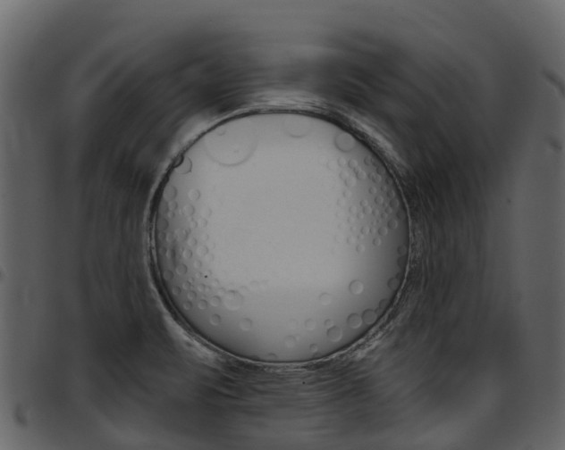 X0000097651471200802290834