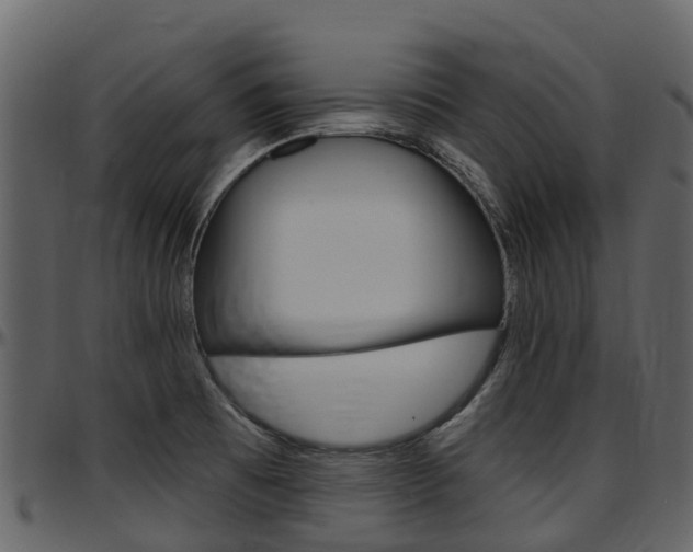 X0000097651473200802290834