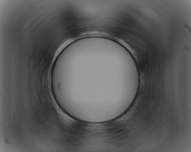 X0000097651474200802290834