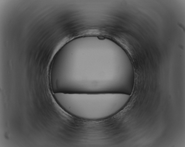 X0000097651475200802290834