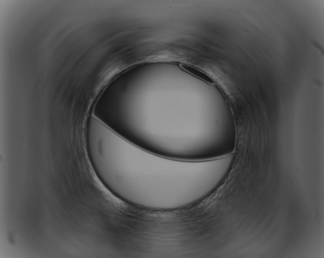 X0000097651476200802290834