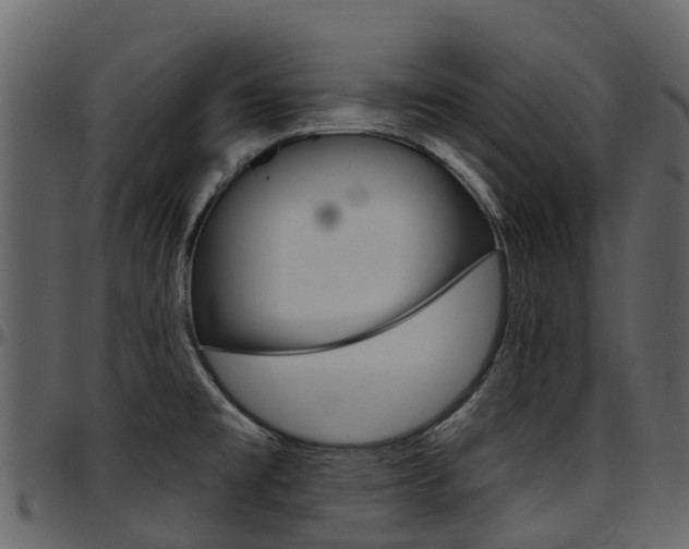X0000097651477200802290834