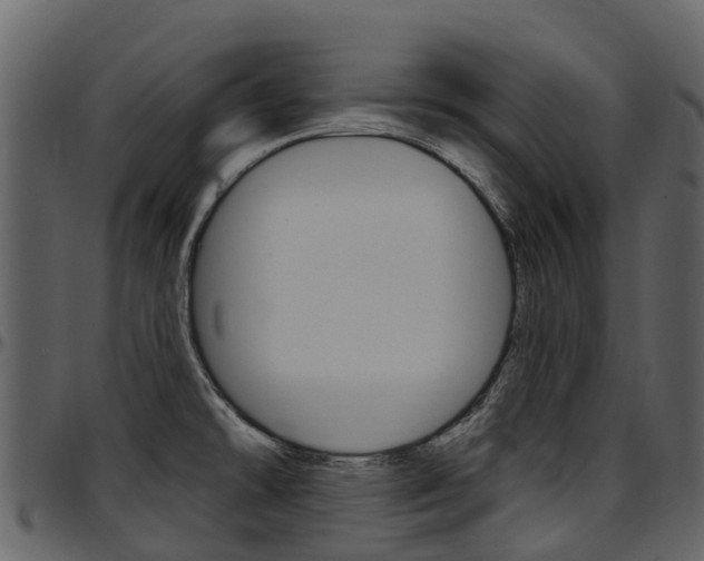 X0000097651478200802290834