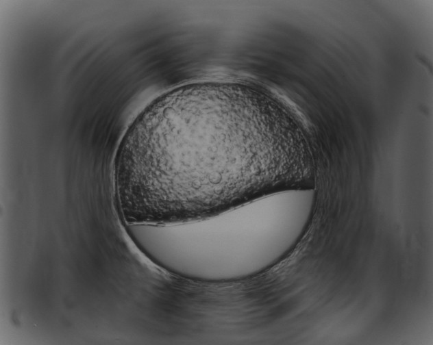 X0000097651479200802290834