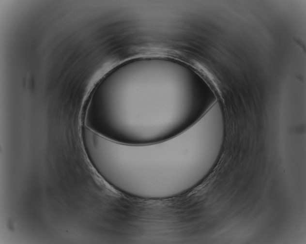 X0000097651480200802290834