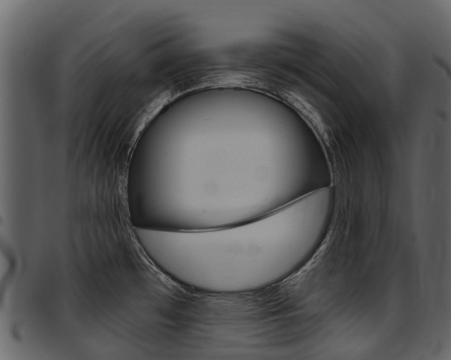 X0000097651481200802290834