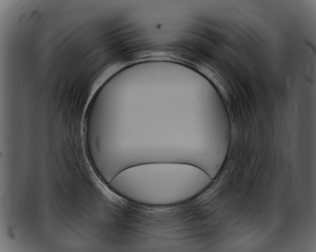 X0000097651482200802290834
