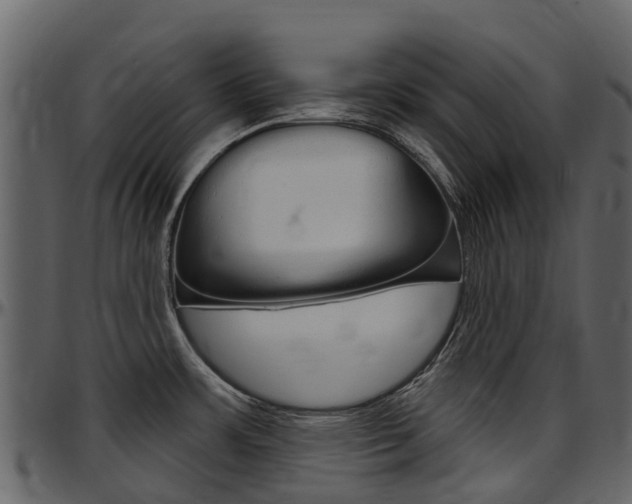 X0000097651483200802290834