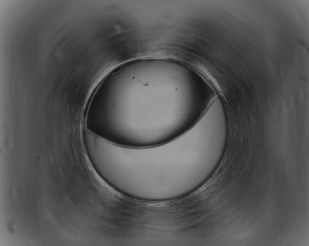 X0000097651484200802290834