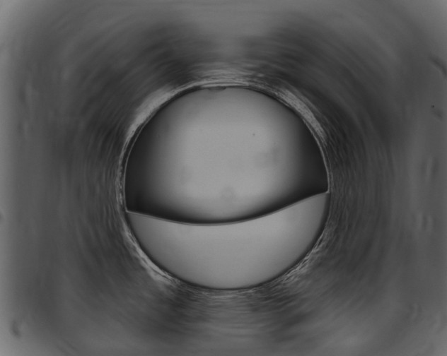 X0000097651485200802290834