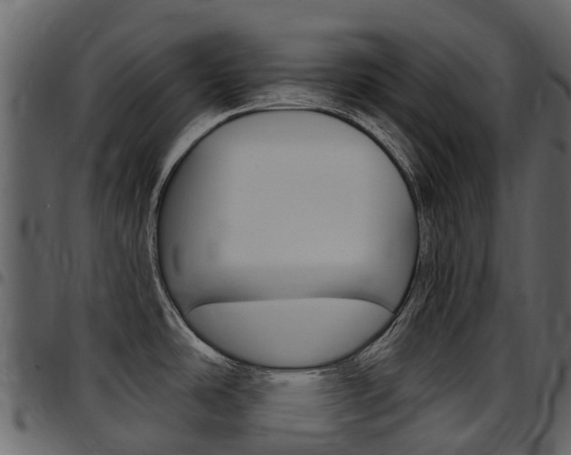 X0000097651486200802290834