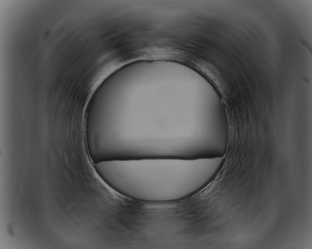 X0000097651487200802290834