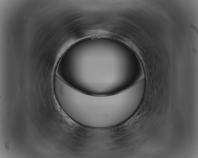 X0000097651488200802290834
