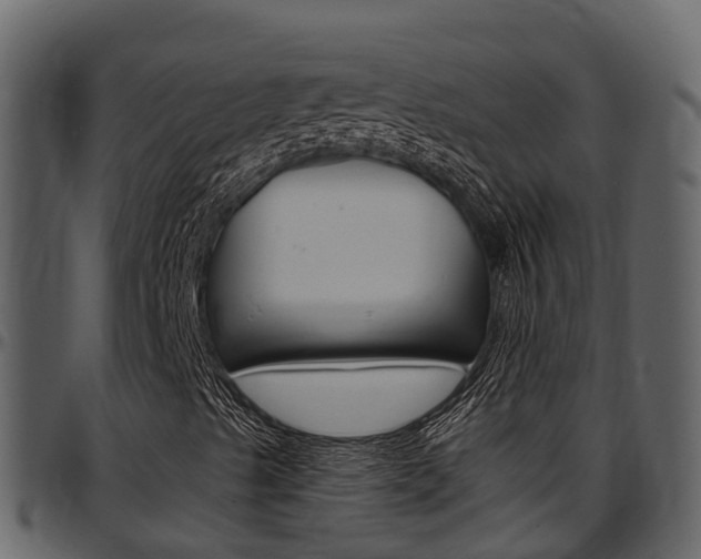 X0000097651489200802290834