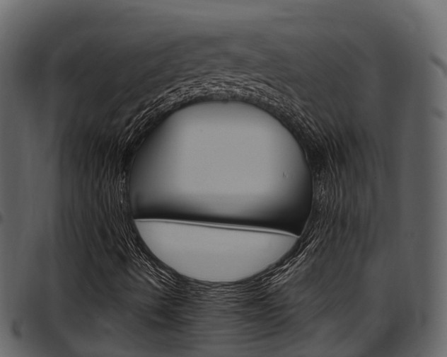 X0000097651490200802290834