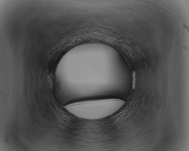 X0000097651491200802290834