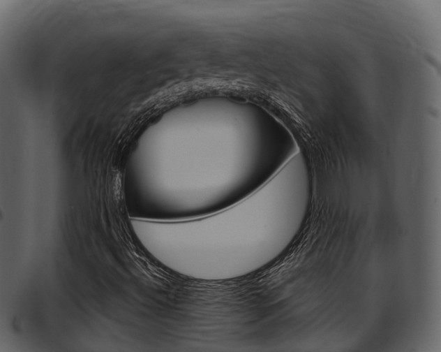 X0000097651492200802290834