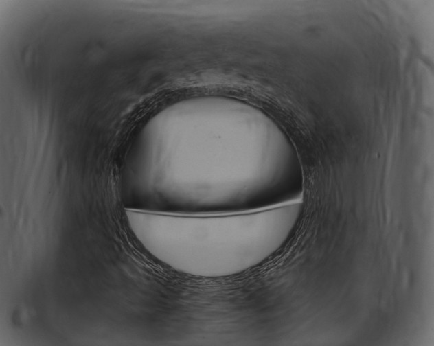 X0000097651493200802290834