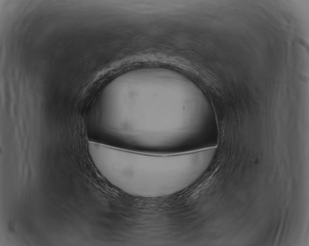 X0000097651494200802290834