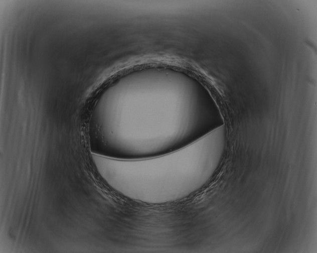 X0000097651496200802290834