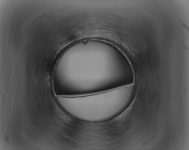 X0000097651497200802290834
