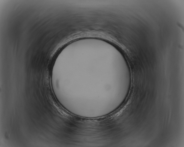 X0000097651498200802290834