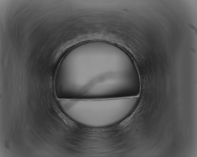 X0000097651499200802290834