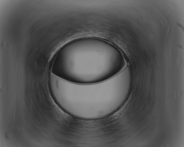X0000097651500200802290834