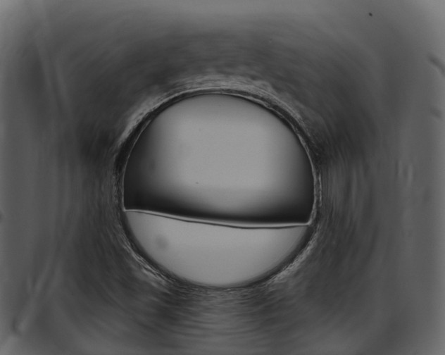 X0000097651501200802290834