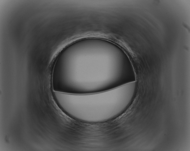 X0000097651504200802290834