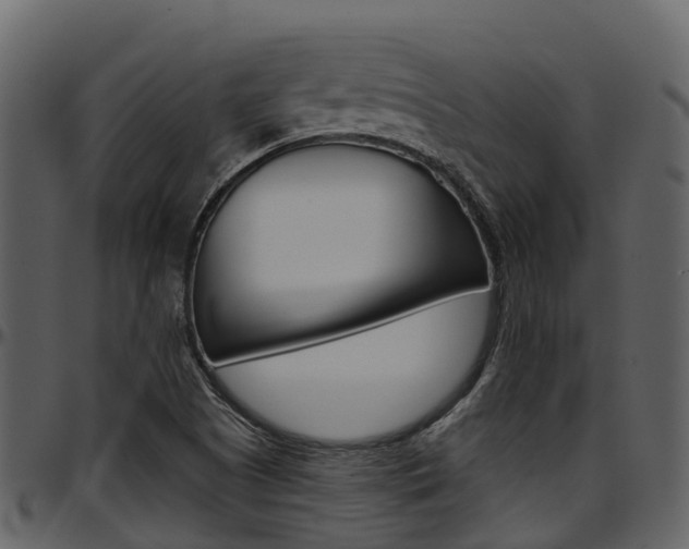 X0000097651505200802290834