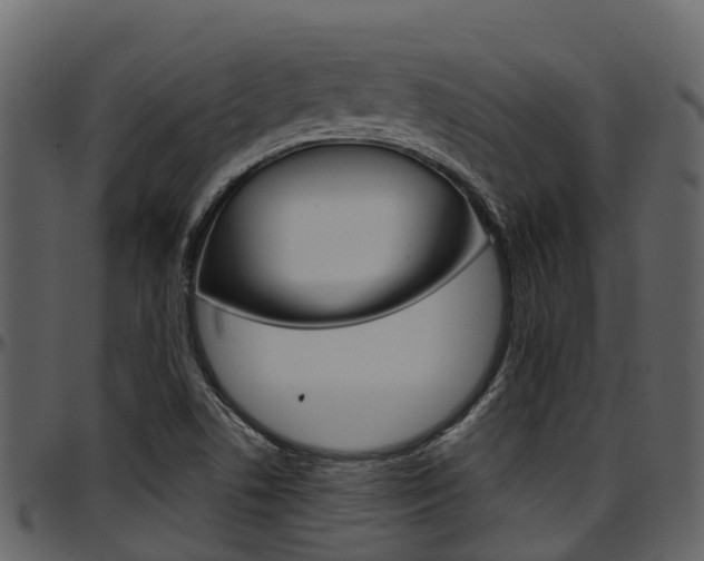 X0000097651506200802290834