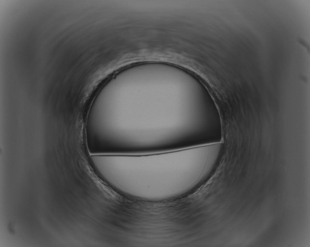 X0000097651507200802290834