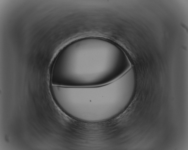 X0000097651508200802290834