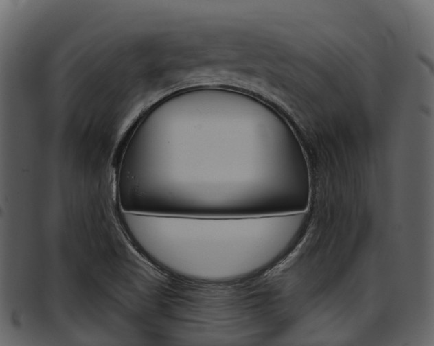 X0000097651509200802290834