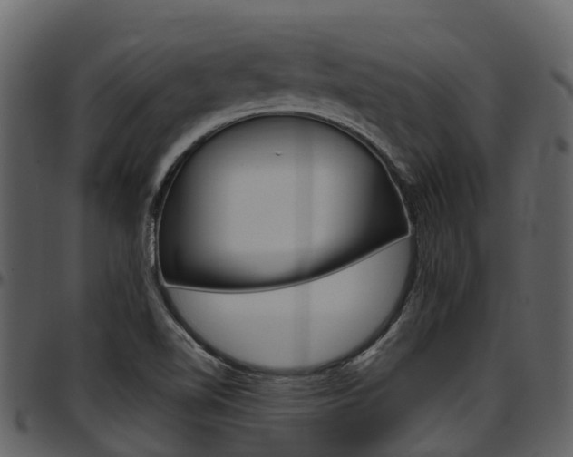 X0000097651510200802290834