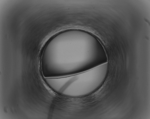 X0000097651511200802290834