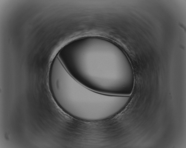 X0000097651512200802290834