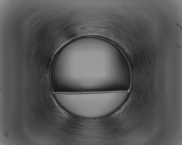 X0000097651513200802290834