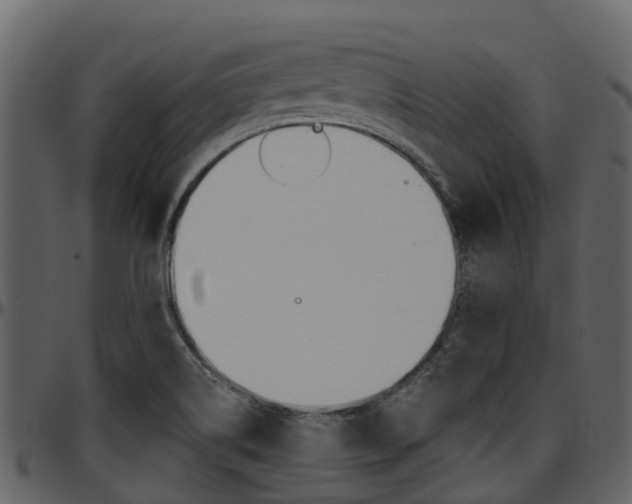 X0000097651514200802290834