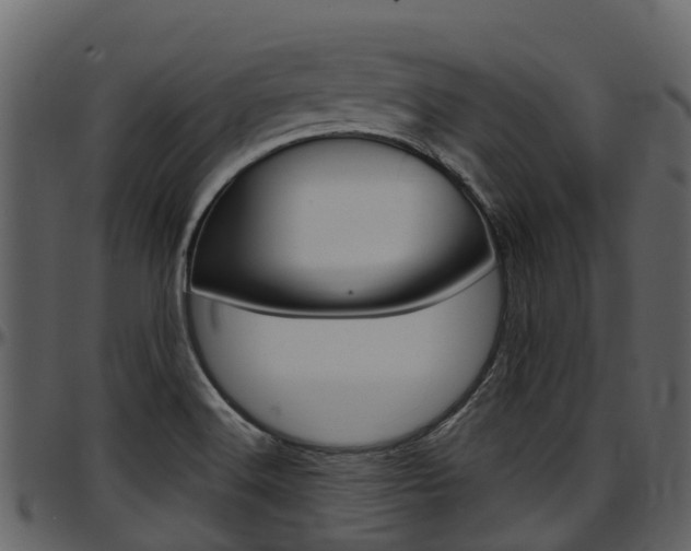 X0000097651516200802290834