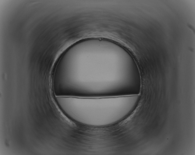 X0000097651517200802290834