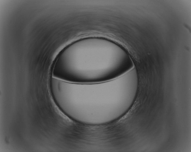 X0000097651518200802290834