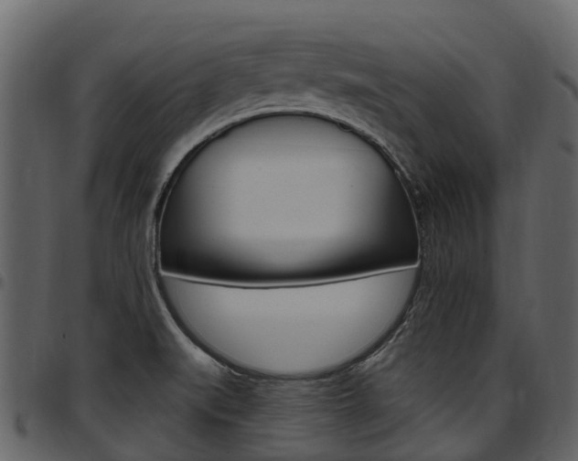 X0000097651519200802290834