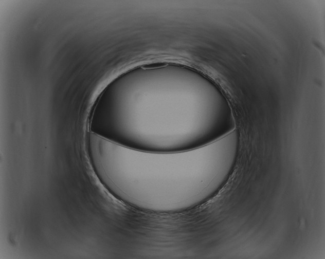 X0000097651520200802290834