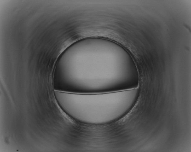 X0000097651521200802290834