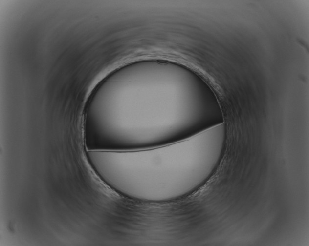 X0000097651522200802290834