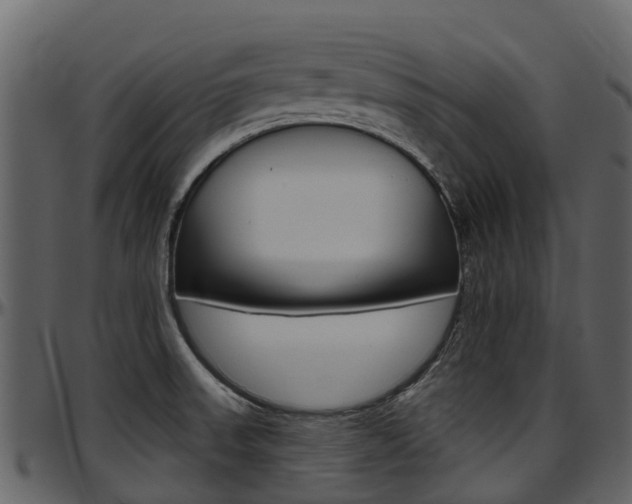 X0000097651523200802290834